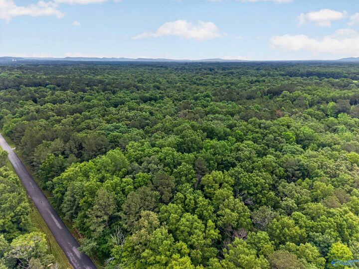 Property Photo: 2 Lots Christopher Avenue AL 35907