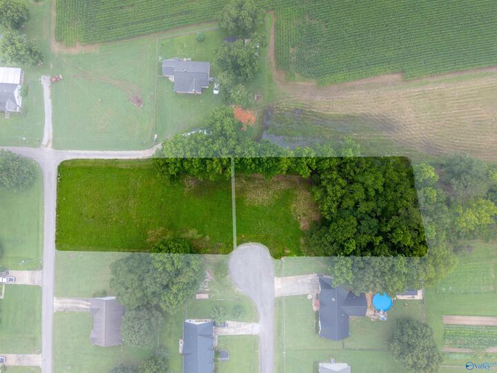 Property Photo:  2 Lots Christopher Avenue  AL 35907 
