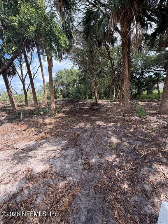 Property Photo:  9110 Woodsman Cove Lane  FL 32226 