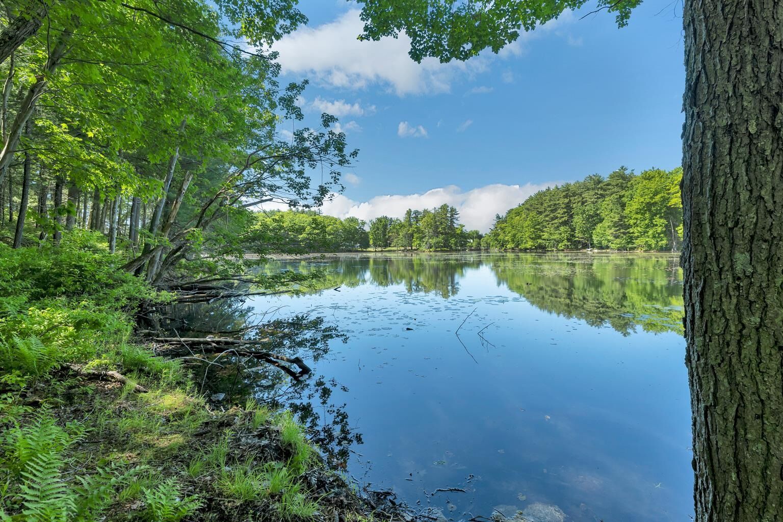Property Photo:  40 Norwood Road  NH 03079 