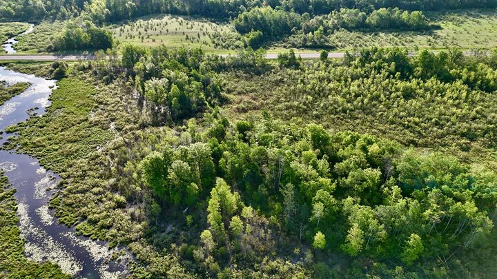 Property Photo:  Tbd Highway 65  MN 56342 
