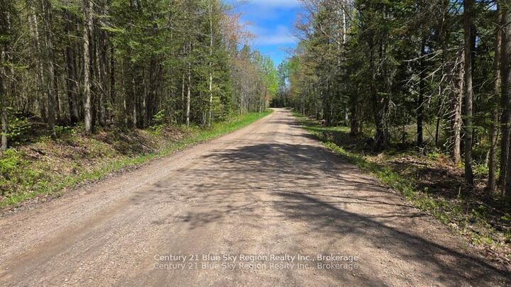 Pt Lt 10 Con 16 Pt 1 Village Road — photo 1