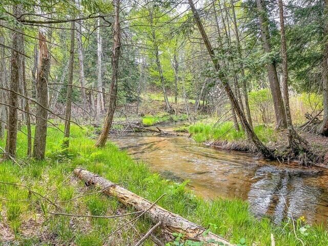 Property Photo: West Road MI 49638
