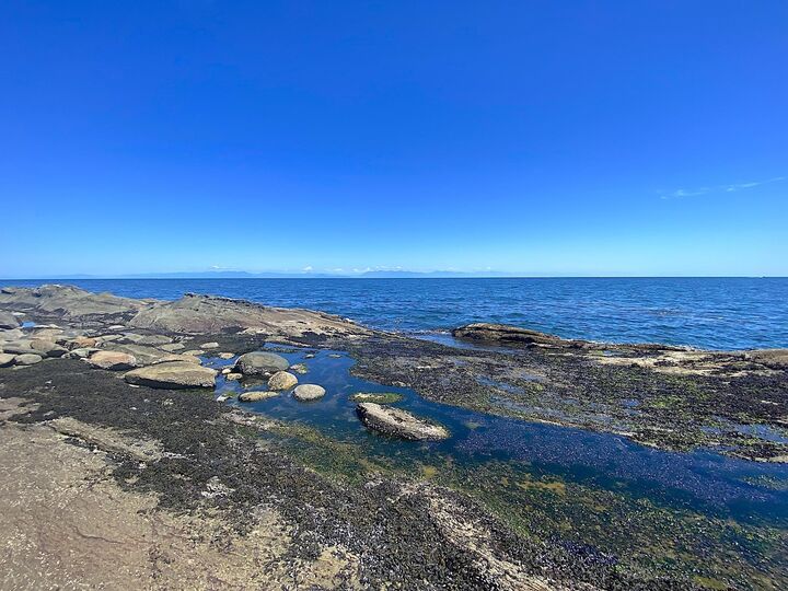 Property Photo: Lot 16 Dl 71 And 77 BC V0N 1P0