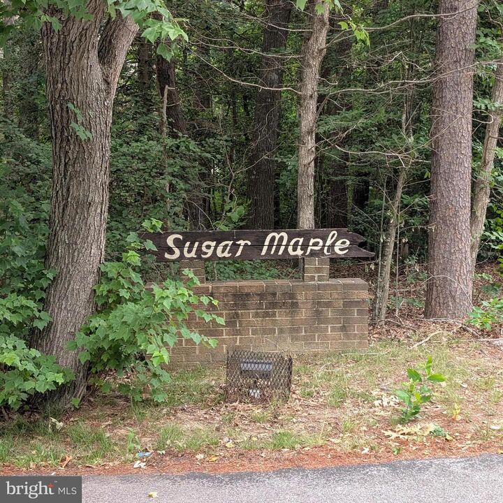 Property Photo:  23313 Sugar Maple Court 6C  MD 20619 