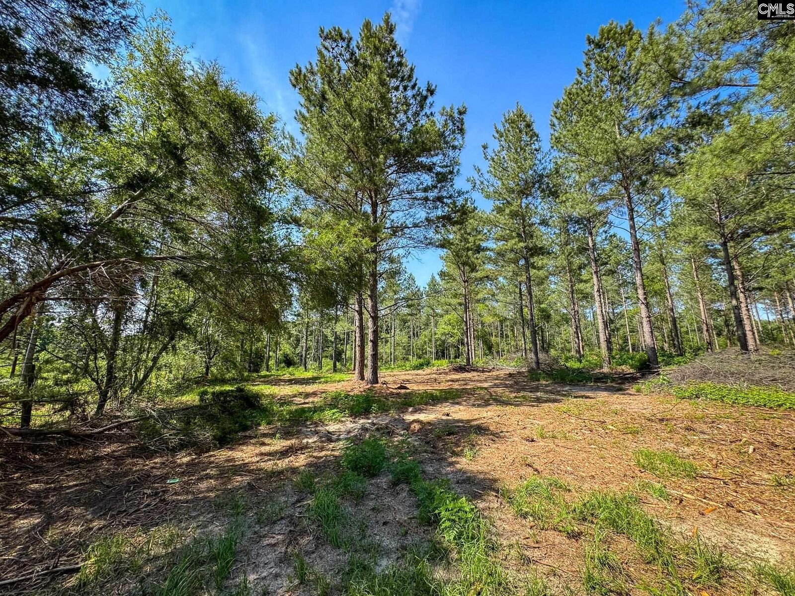Property Photo:  0 Lewis Waters Lot 2  SC 29070 