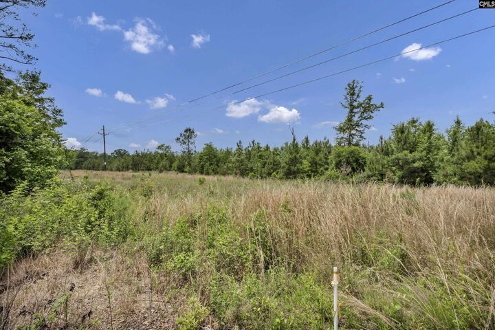 Property Photo:  Na Bull Swamp  SC 29112 
