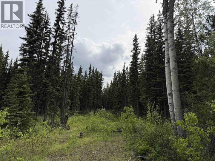 Property Photo:  Dl 706 Walcott Road  BC V0J 2X2 