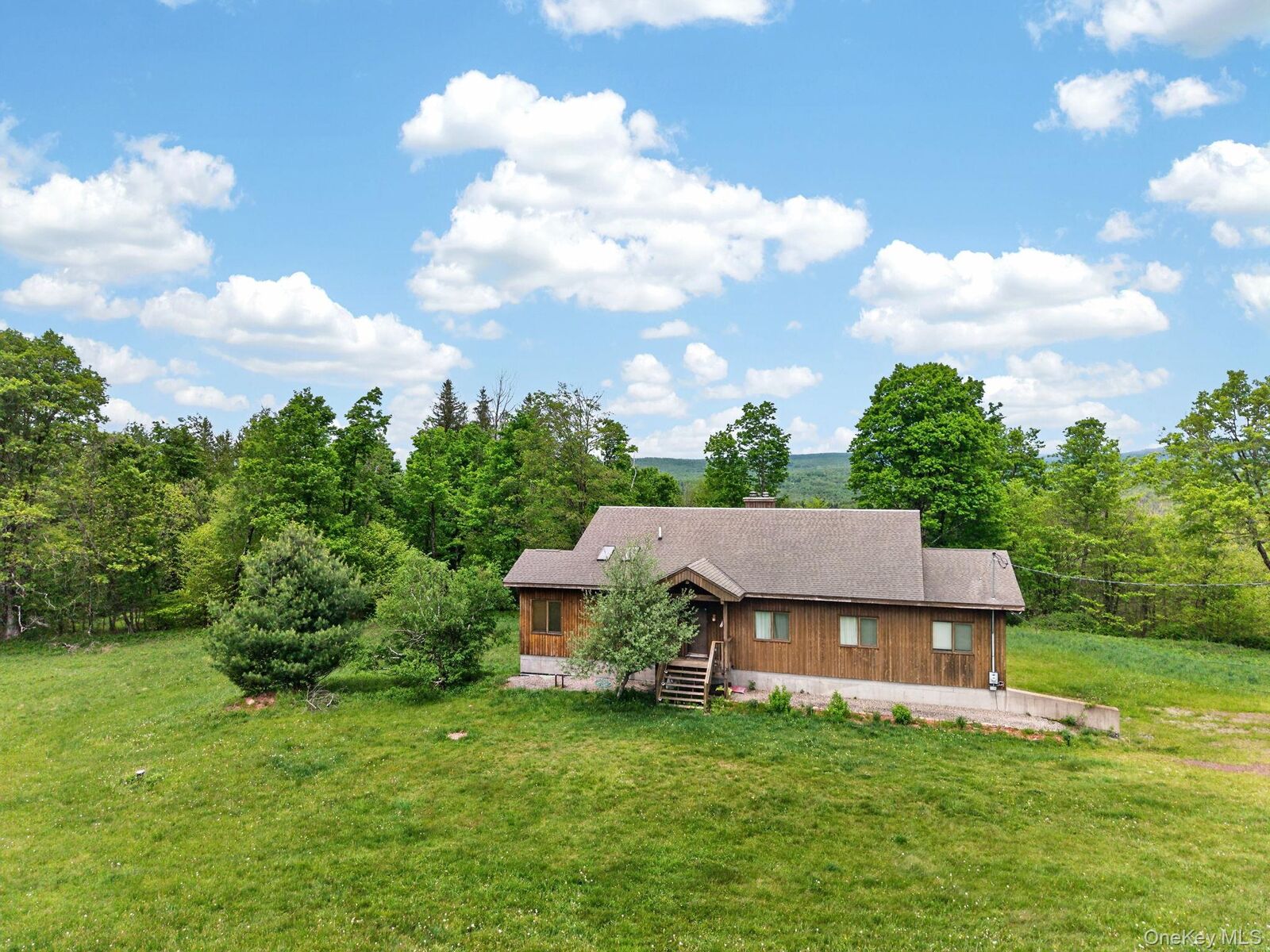 Property Photo:  81 N Pond Drive  NY 12768 