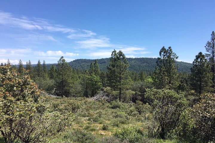Property Photo:  0 Allen Way  CA 95919 