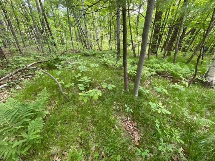 Property Photo: 25945 Pine View Beach Trail MN 55007