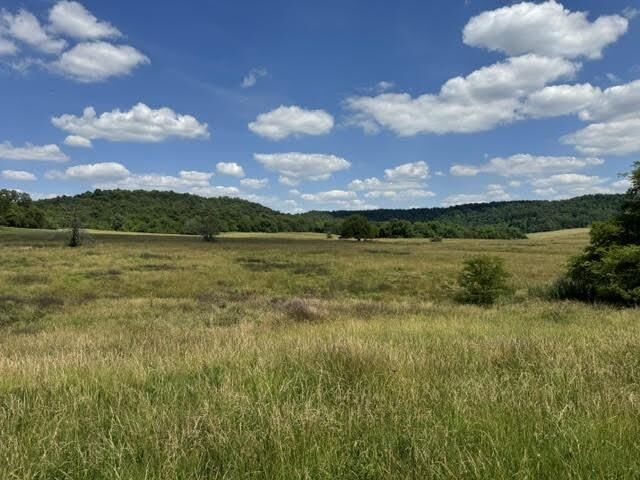 Property Photo:  Tract 4 L And N Turnpike Road  KY 42749 