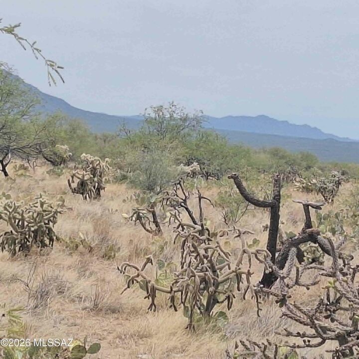 Property Photo:  15102 S Muldoon Avenue 82  AZ 85736 