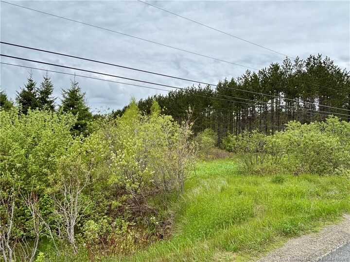 Property Photo:  32.6 Acres Rte 160  NB E8M 1A9 