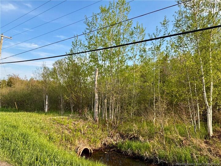 Property Photo:  33.8 Acres Route 310  NB E8T 3K5 