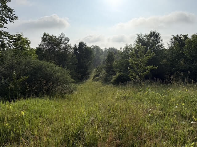 Property Photo:  Parcel B E M-79  MI 49073 