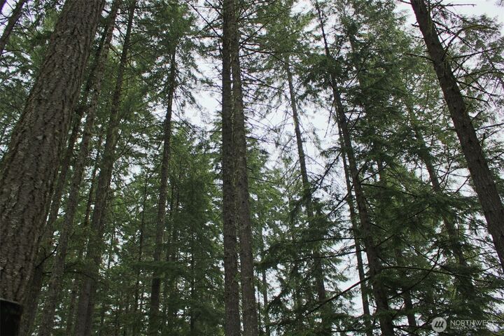 Property Photo:  291  Collins Lake Drive  WA 98528 