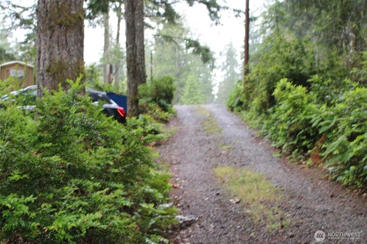 Property Photo: 291 Collins Lake Drive WA 98528