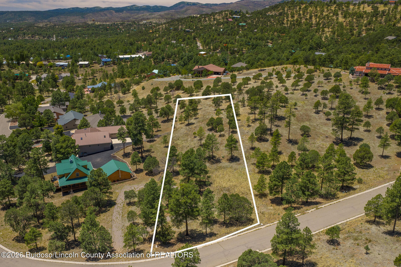 Property Photo:  133 Charles McClellan Drive 4  NM 88345 