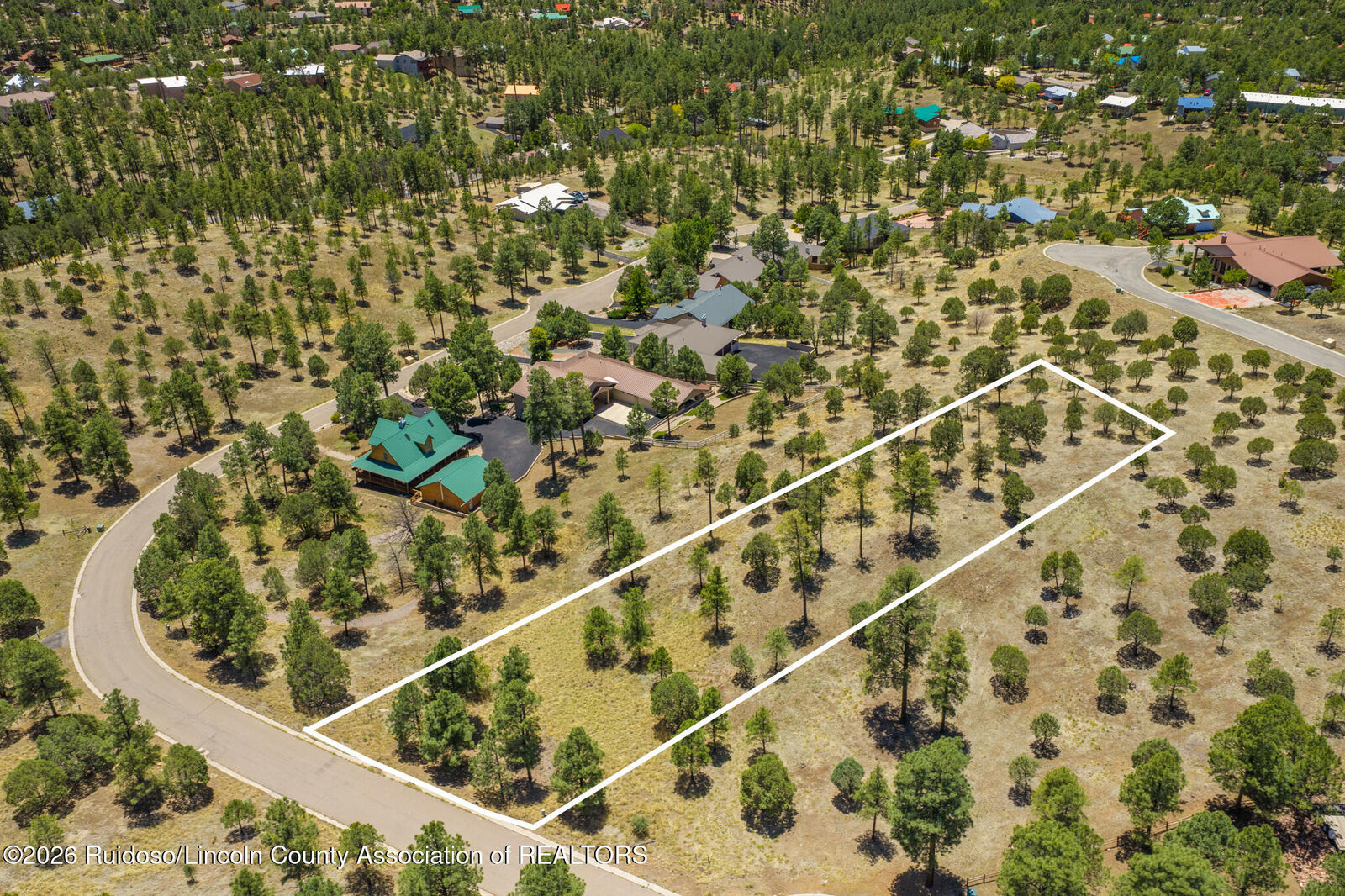 Property Photo:  135 Charles McClellan Drive  NM 88345 