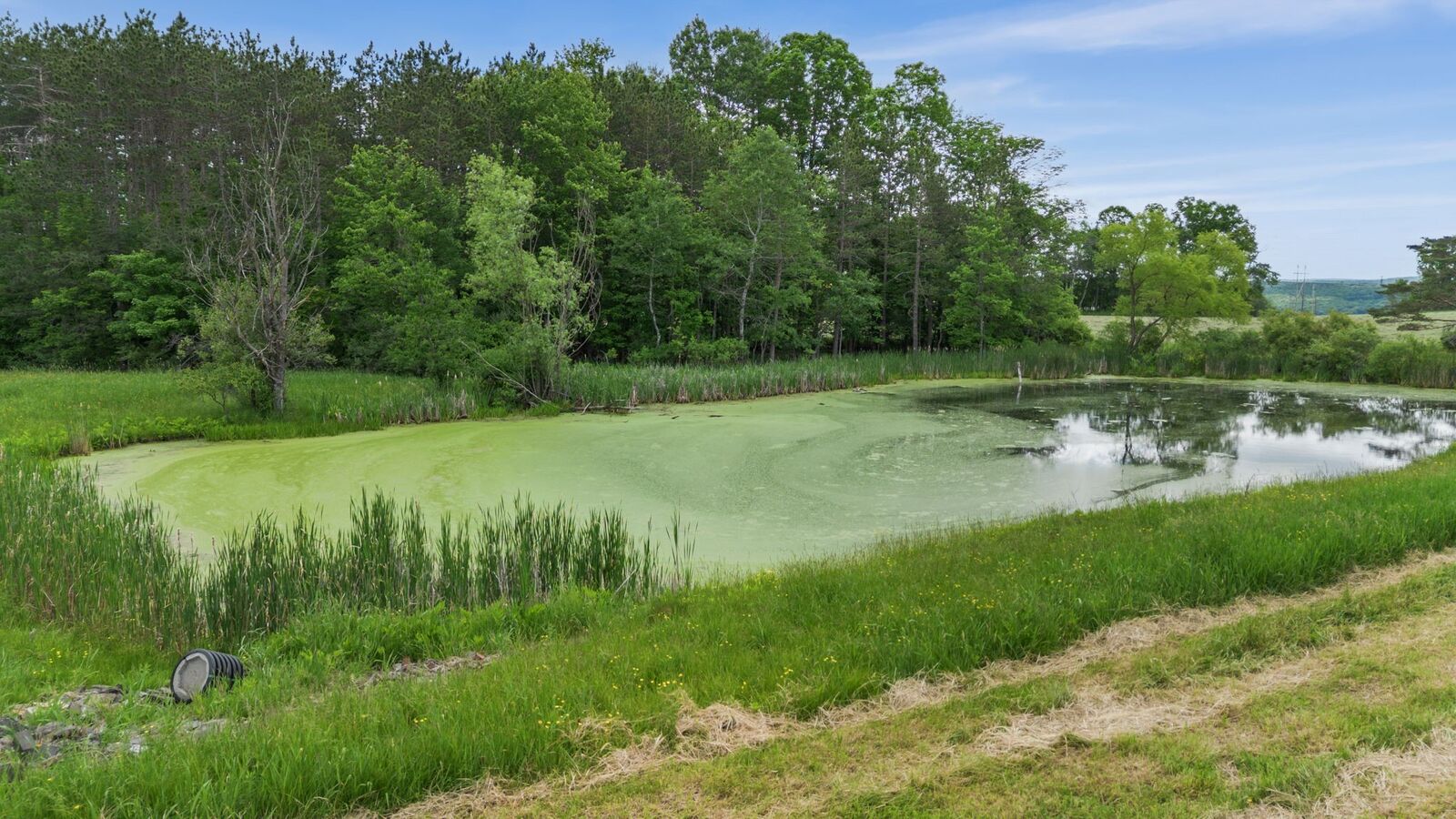 Property Photo:  226 Knapp Hill Road  NY 13744 