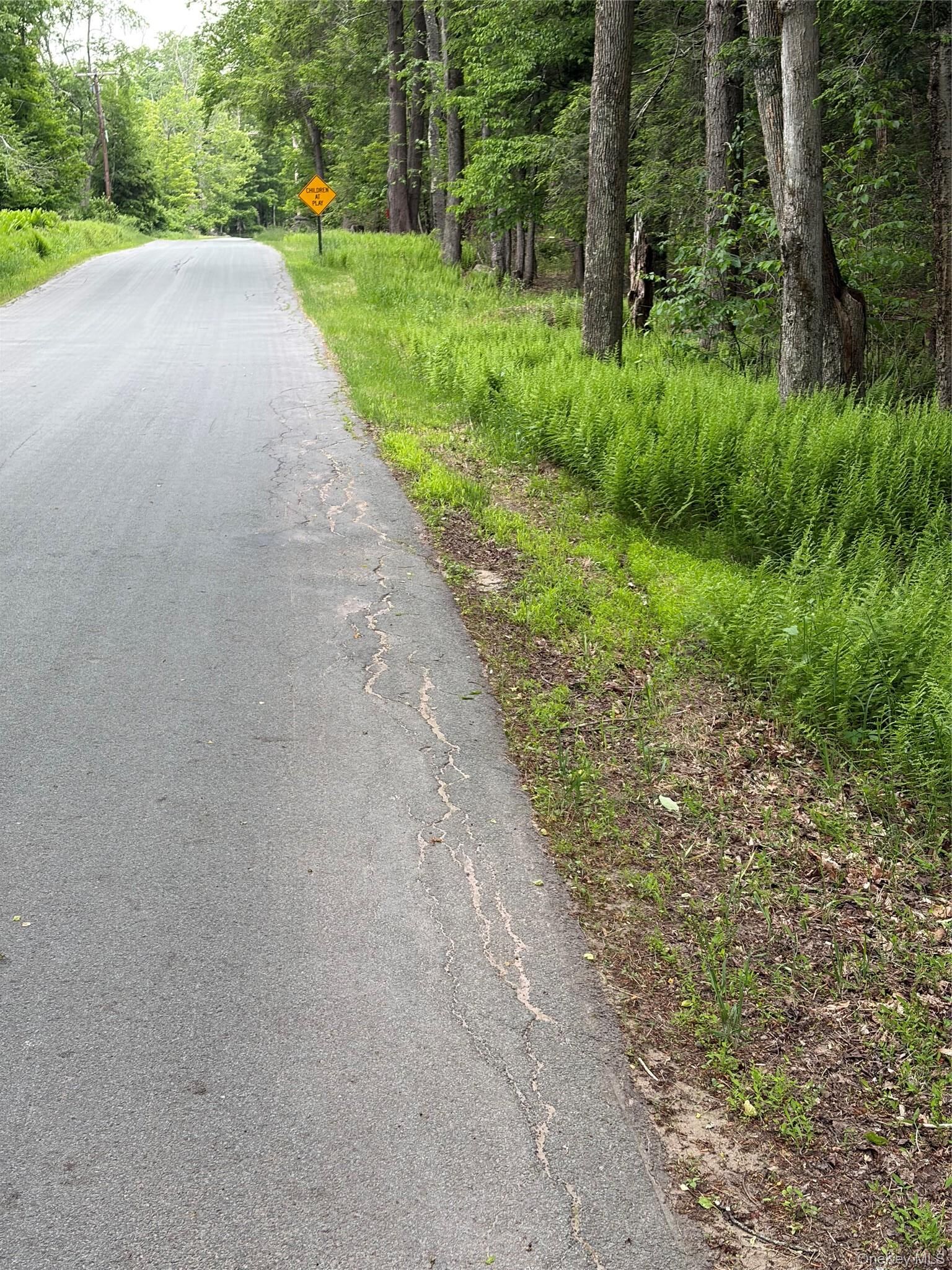 Property Photo: 651 Creamery Road NY 12701