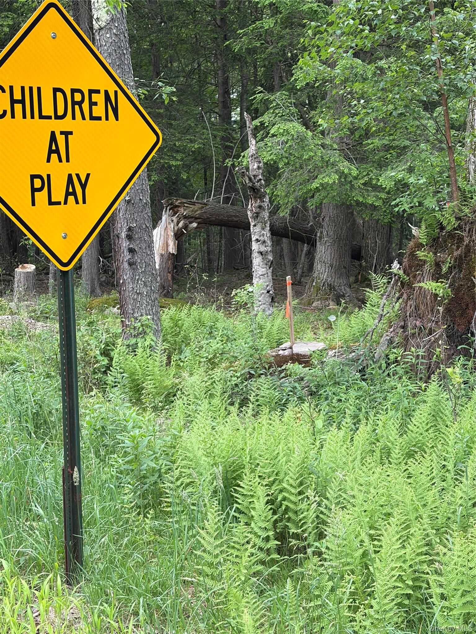 Property Photo:  651 Creamery Road  NY 12701 