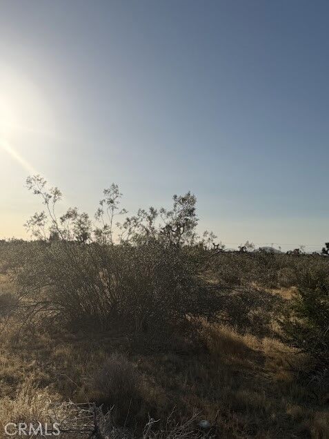 Property Photo: 0 Mountain Rd, CA 92372
