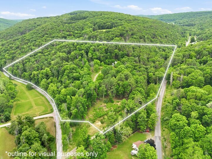 Property Photo: 2947 Orcutt Creek Rd PA 18840