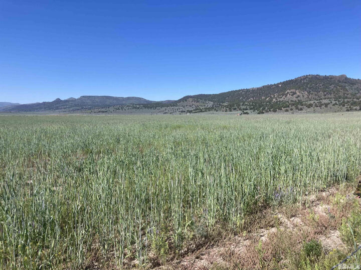 Property Photo: 11069 Mosquito Road NV 89412