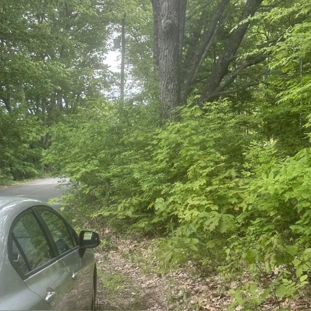 Property Photo: 44.1 Lovell Lake Road NH 03872