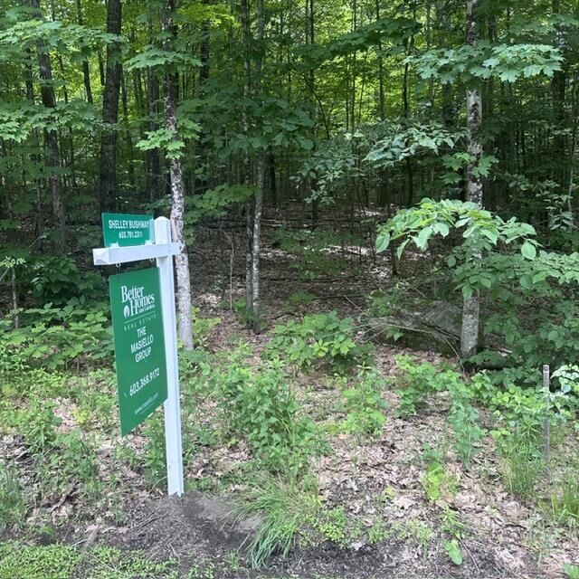 Property Photo:  44.1 Lovell Lake Road  NH 03872 