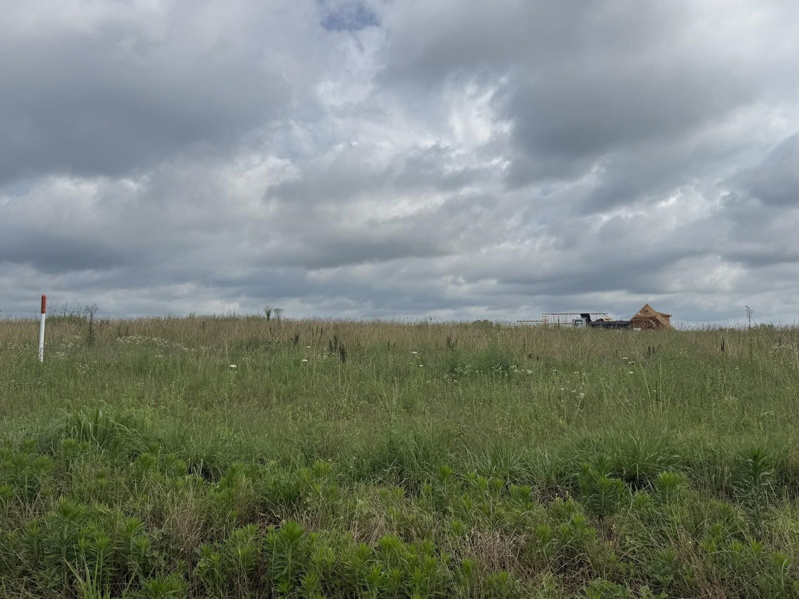 Property Photo: Lot 32 Co Rd 1464 AL 35058