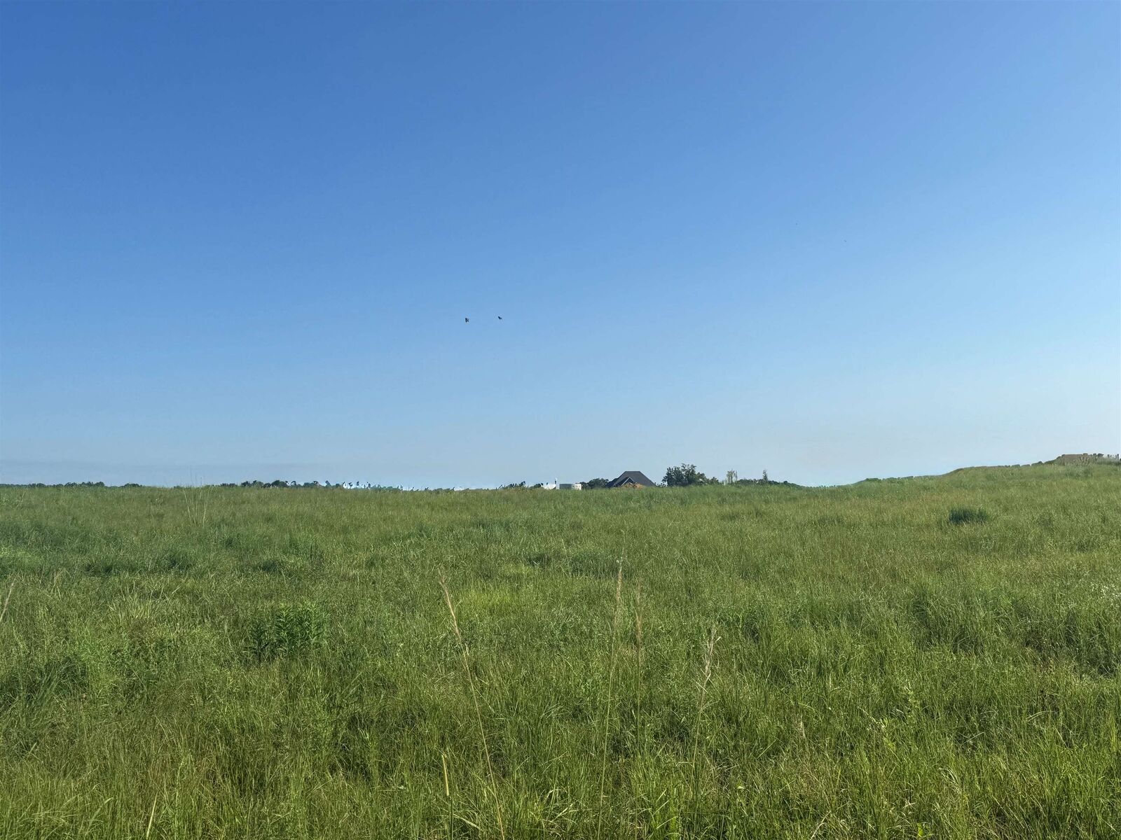 Property Photo:  Lot 32 Co Rd 1464  AL 35058 