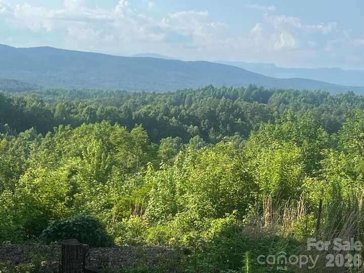 Property Photo: 253 Falls Creek Drive NC 28761