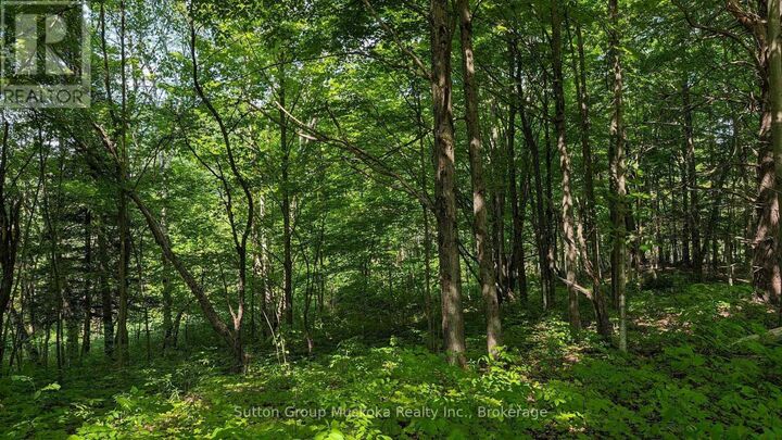 Property Photo:  Lot 2 Tally-Ho Winter Park Road  ON P1H 2E5 