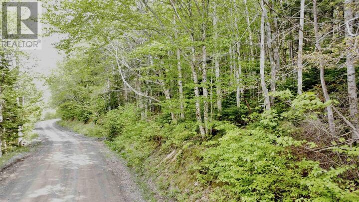 Property Photo:  Lot 18-1 Glenora Falls Road  NS B0E 1X0 