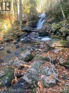 Property Photo:  0 Town Plot Road  NB E5R 2B7 