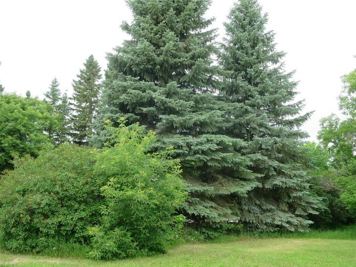 Photo de la propriété:  506 East Avenue  MB R0L 1K0 