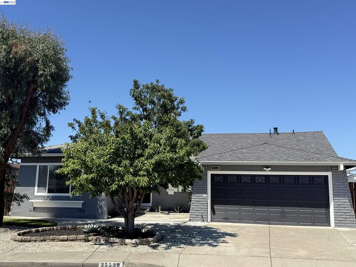 Property Photo: 35539 Dee Pl CA 94536