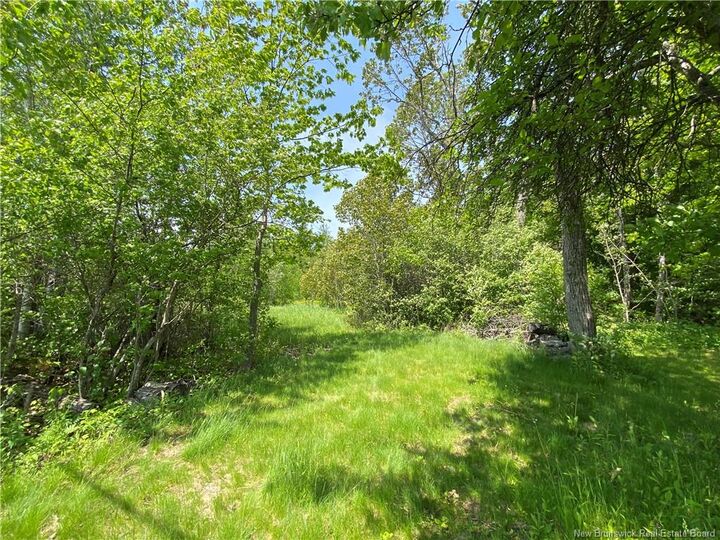 Property Photo:  Lot Route 134  NB E4P 3G9 