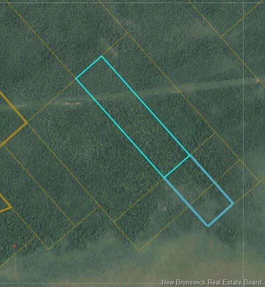 Property Photo:  31 Acres Off Dunphy Road  NB E1N 0B4 