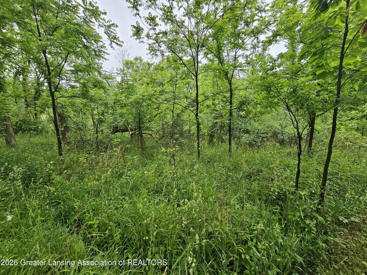 Property Photo:  14540 S Wacousta Road  MI 48837 
