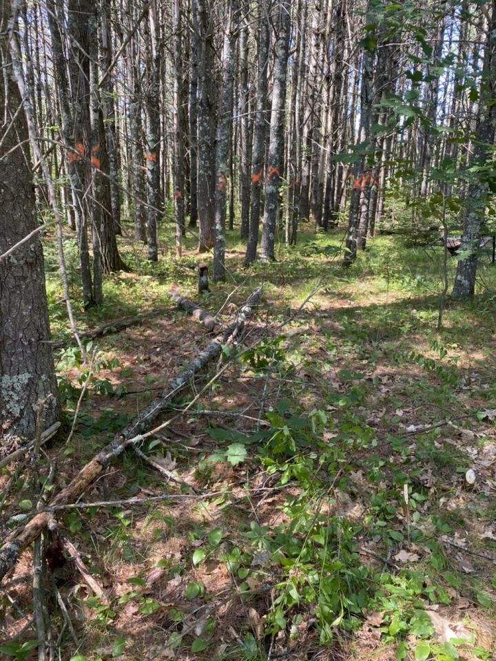 Property Photo: Lot 10 Rockwood Dr WI 54548