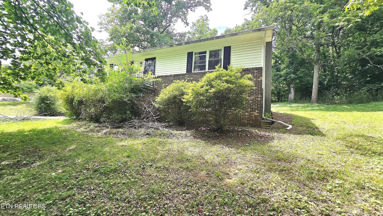 Property Photo:  121 Shady Lane  TN 37748 