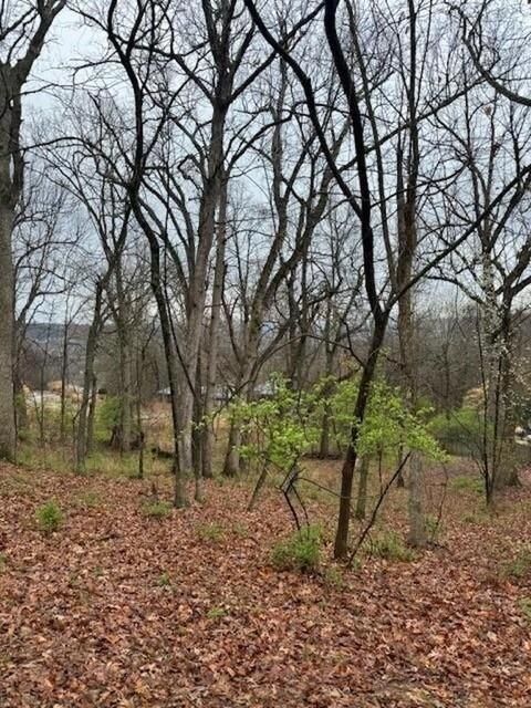 Property Photo: 84 S Kestrel Drive AR 72703