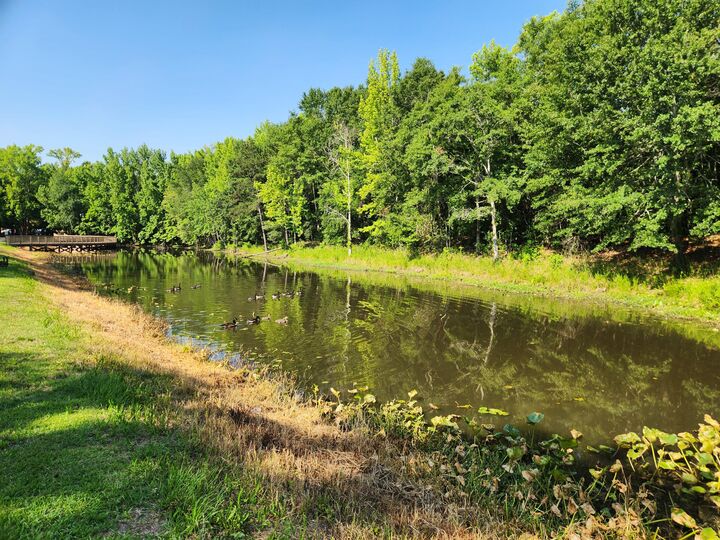 Property Photo:  Tbd Community Street  SC 29150 