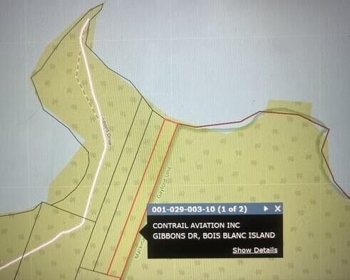 Property Photo: 5.07 Acres Gibbons Drive MI 49775