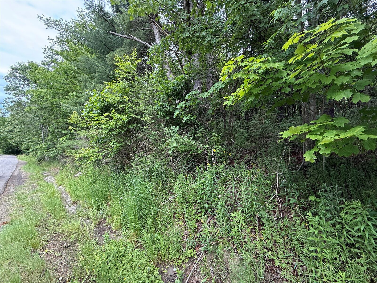 Property Photo:  55 Badger Road  NY 13904 