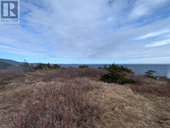 Property Photo:  137 Front Road  NL A0N 1A0 